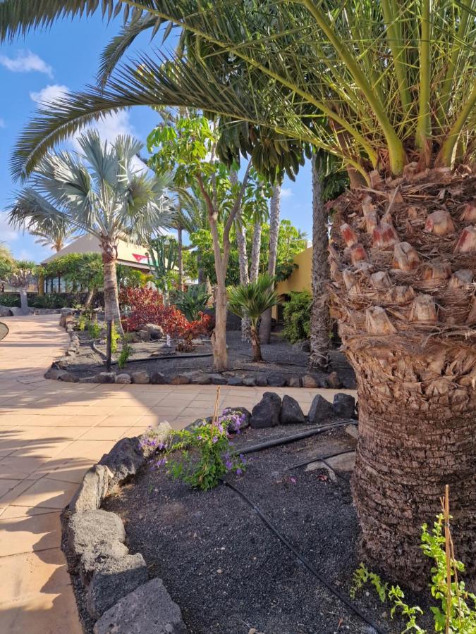 Апартаменты Casa Mari Y Jose Con Grandes Piscinas Y Wifi Gratis Коральео Экстерьер фото